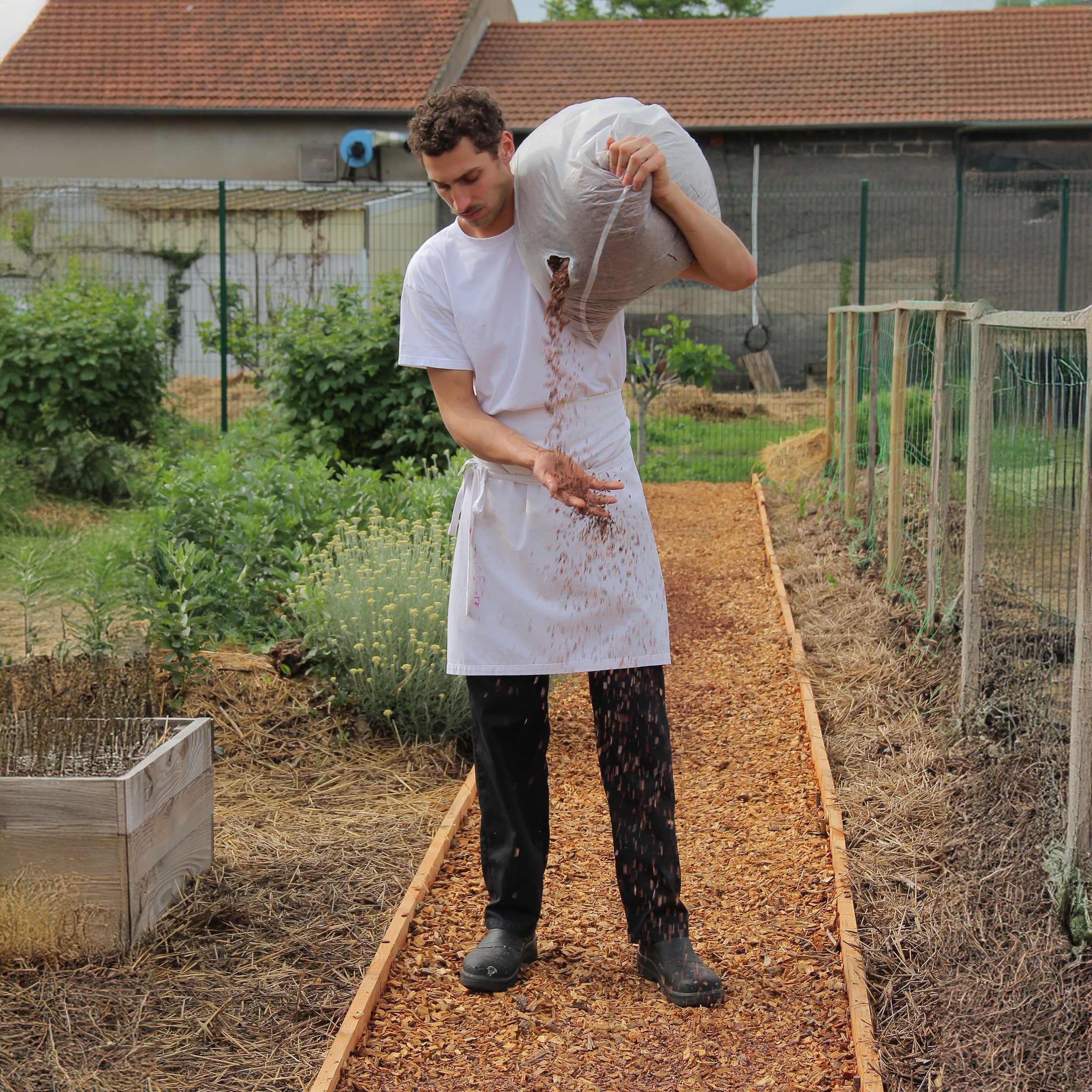 Du cacao dans le jardin de la maison Pralus à Roanne